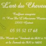 L'Art Du Cheveu